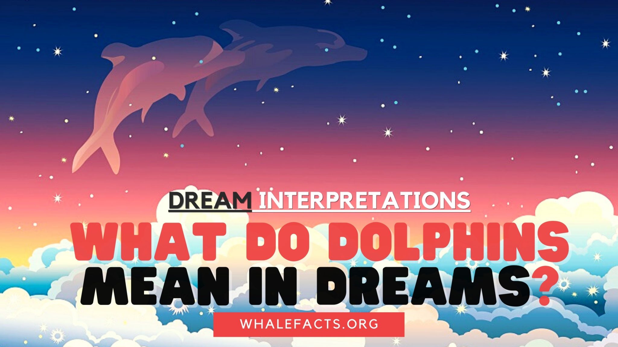 what-do-dolphins-mean-in-dreams-whale-facts